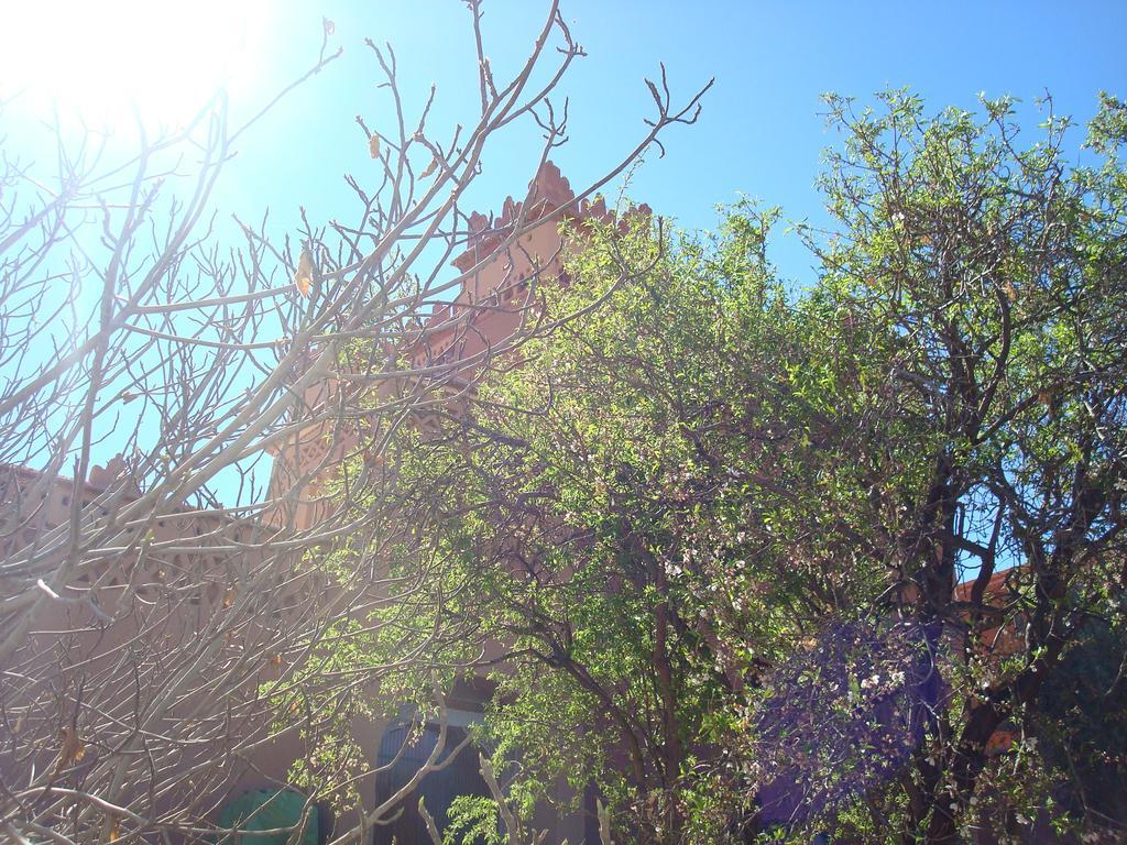 Kasbah Ait Kassi Ξενοδοχείο Boumalne Εξωτερικό φωτογραφία