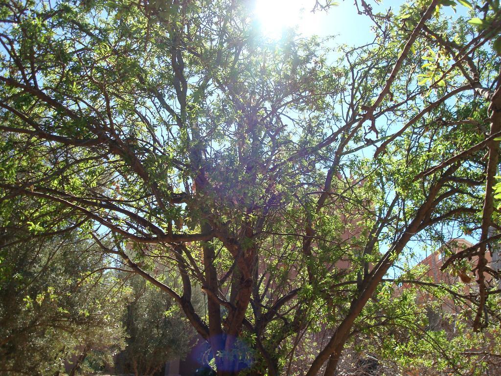 Kasbah Ait Kassi Ξενοδοχείο Boumalne Εξωτερικό φωτογραφία